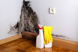 Best Mold Remediation for Healthcare Facilities in Buffalo, NY